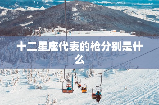 十二星座代表的枪分别是什么