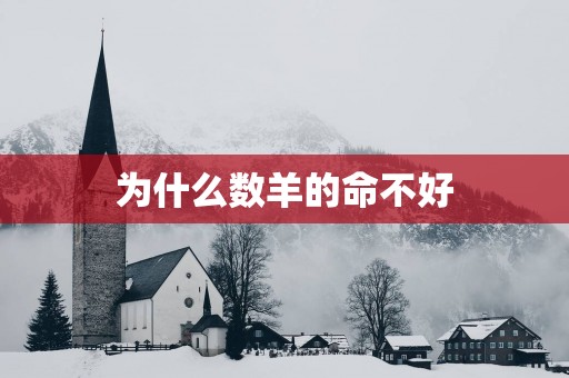 为什么数羊的命不好