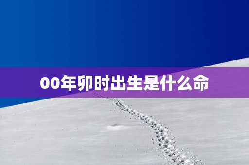 00年卯时出生是什么命