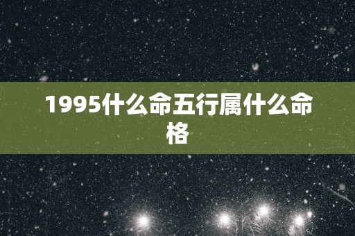 1995什么命五行属什么命格