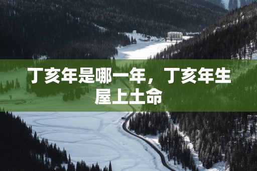 丁亥年是哪一年，丁亥年生屋上土命