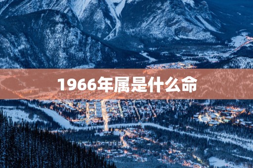 1966年属是什么命