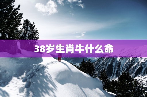 38岁生肖牛什么命