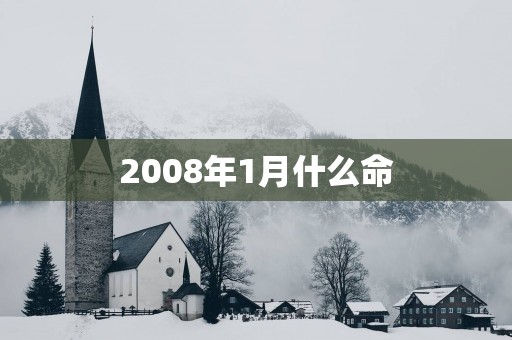 2008年1月什么命