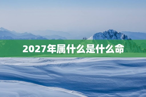 2027年属什么是什么命