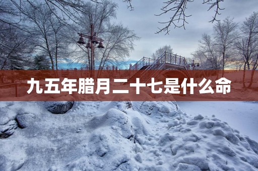 九五年腊月二十七是什么命 九五年腊月二十七是什么命