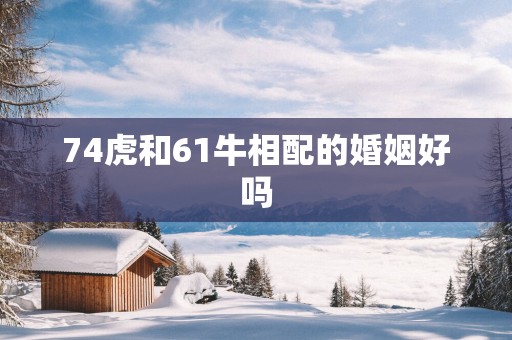 74虎和61牛相配的婚姻好吗
