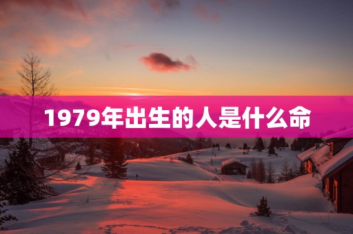 1979年出生的人是什么命