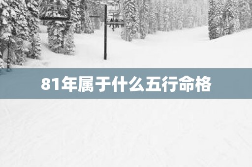 81年属于什么五行命格