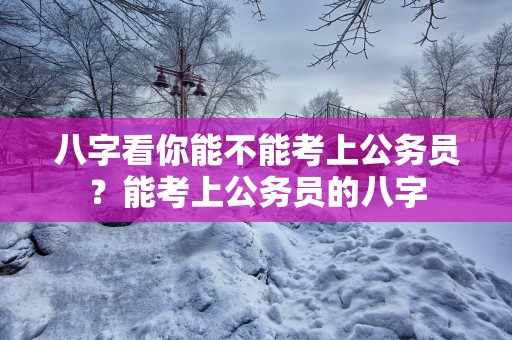 八字看你能不能考上公务员？能考上公务员的八字