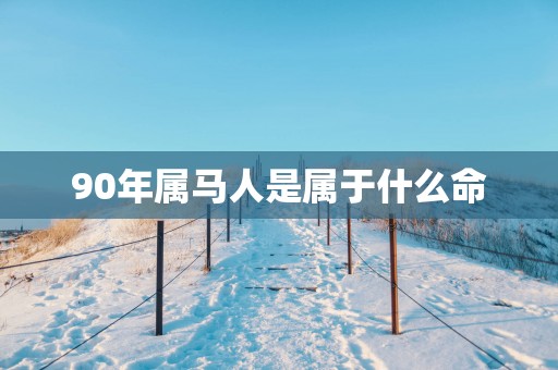 90年属马人是属于什么命