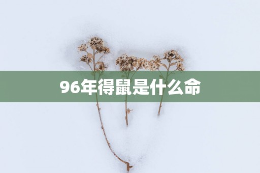 96年得鼠是什么命