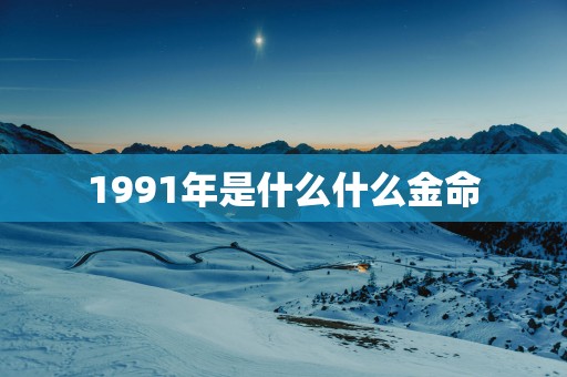 1991年是什么什么金命