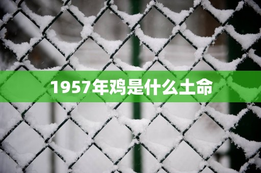 1957年鸡是什么土命