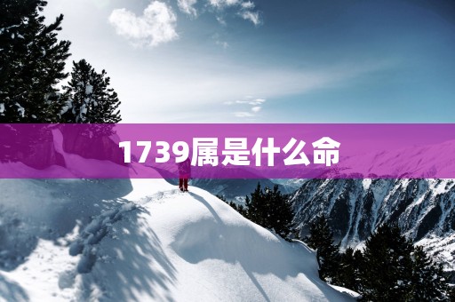1739属是什么命