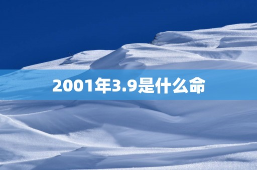 2001年3.9是什么命