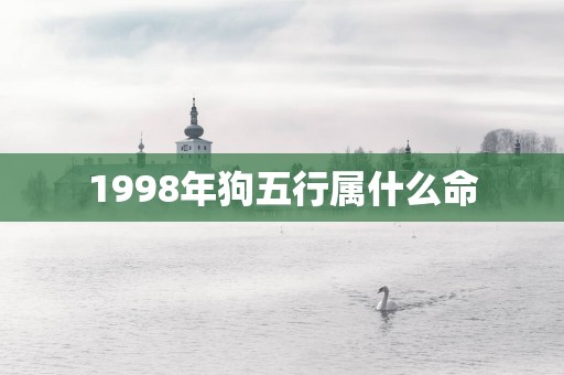 1998年狗五行属什么命