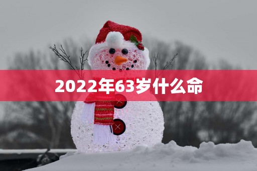 2022年63岁什么命