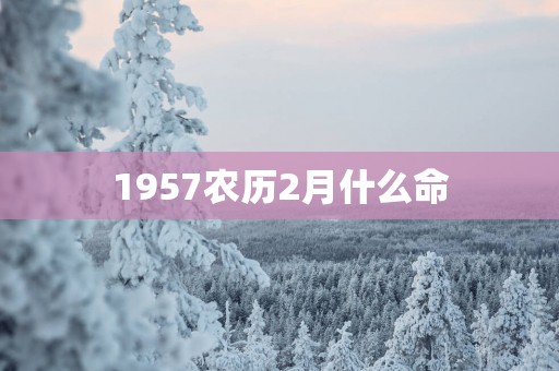 1957农历2月什么命