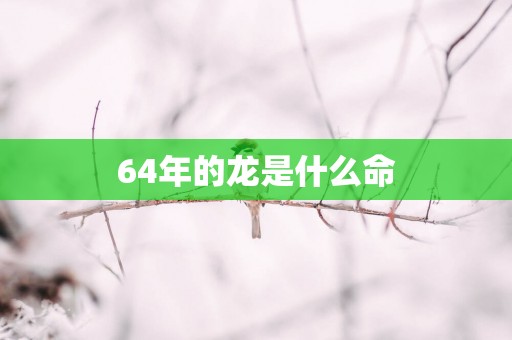 64年的龙是什么命