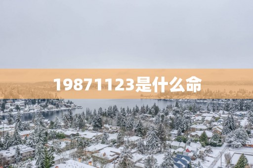 19871123是什么命
