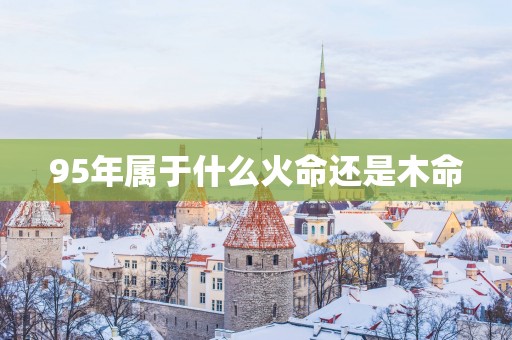 95年属于什么火命还是木命