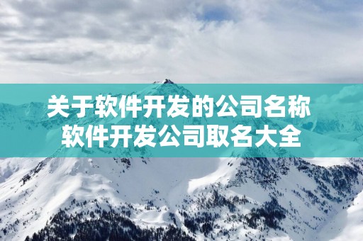 关于软件开发的公司名称 软件开发公司取名大全