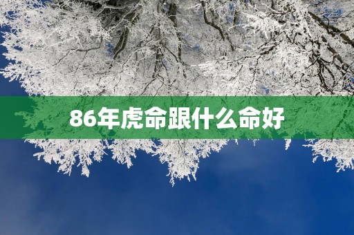 86年虎命跟什么命好