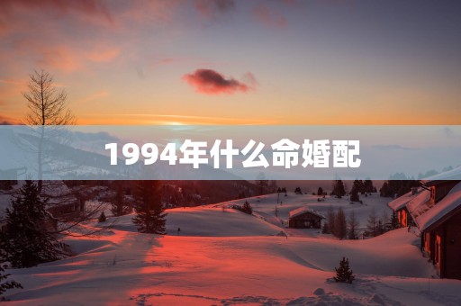 1994年什么命婚配