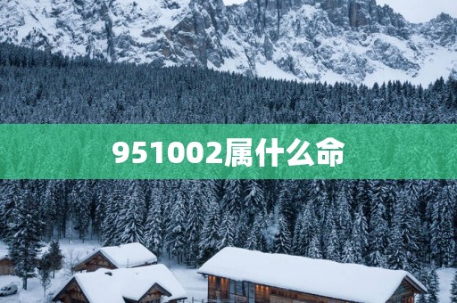 951002属什么命