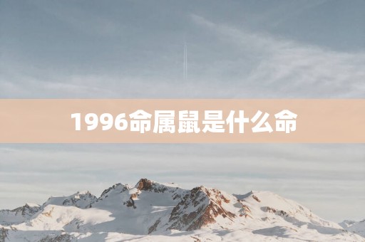 1996命属鼠是什么命