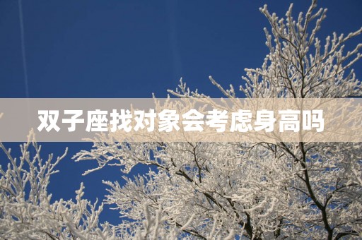 双子座找对象会考虑身高吗