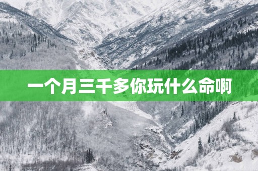 一个月三千多你玩什么命啊