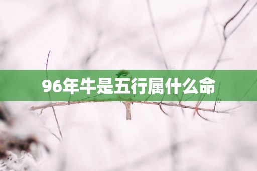 96年牛是五行属什么命