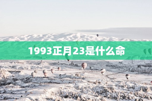 1993正月23是什么命