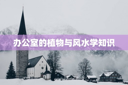 办公室的植物与风水学知识