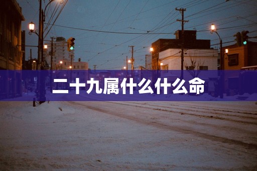 二十九属什么什么命