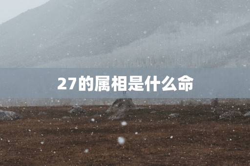 27的属相是什么命
