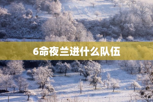 6命夜兰进什么队伍