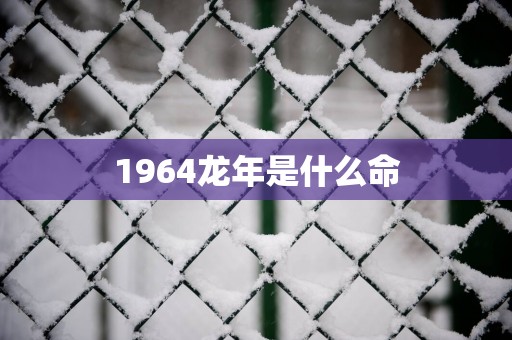 1964蛇年是什么命