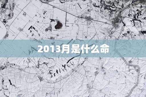 2013月是什么命
