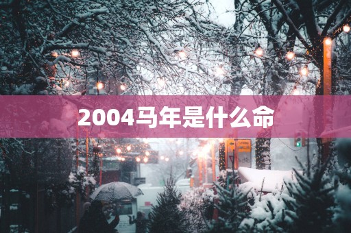 2004马年是什么命