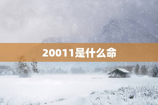20011是什么命