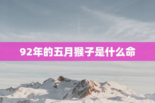 92年的五月猴子是什么命
