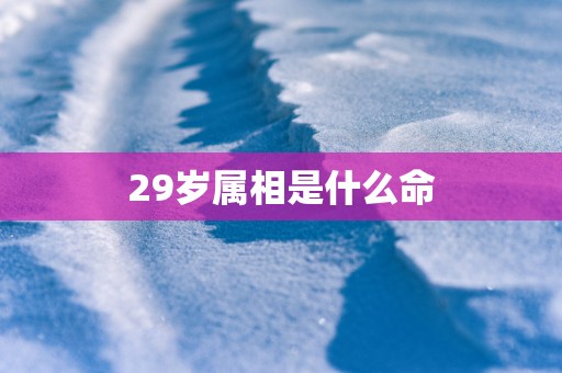 29岁属相是什么命