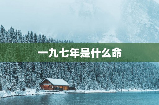一九七年是什么命