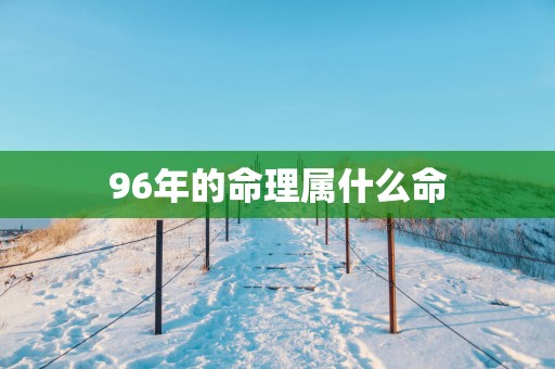 96年的命理属什么命