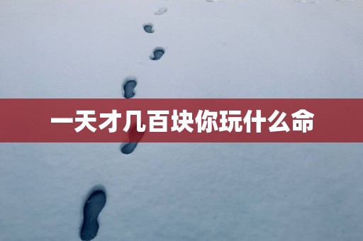 一天才几百块你玩什么命