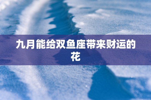 九月能给双鱼座带来财运的花