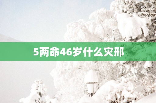5两命46岁什么灾邢
